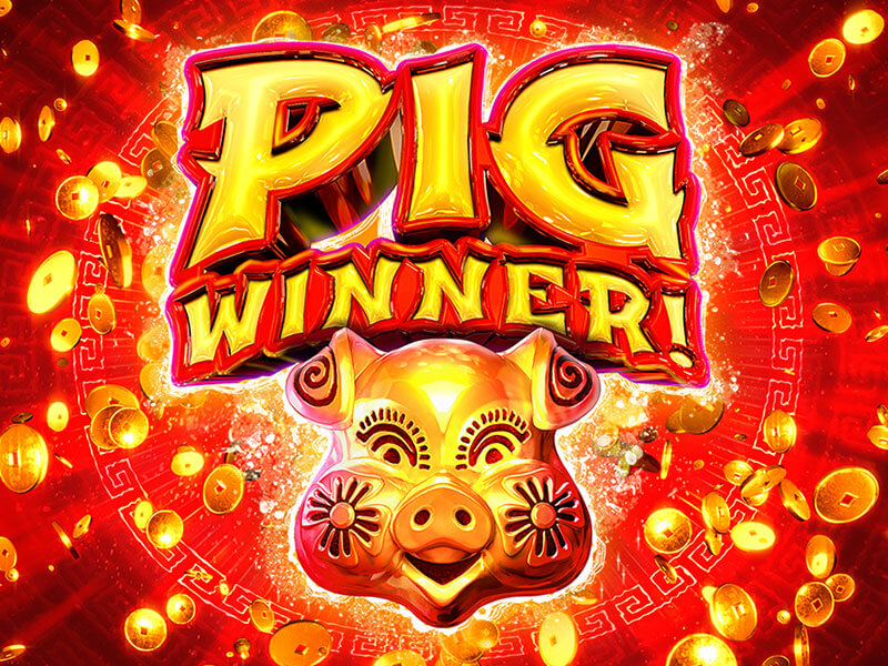 Pig Winner Artwork