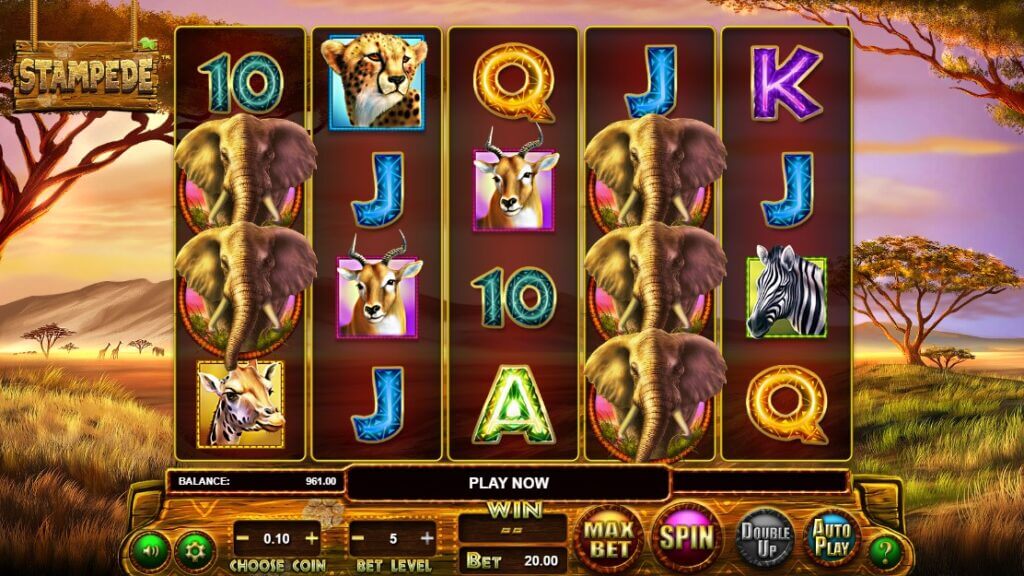 Stampede Slot