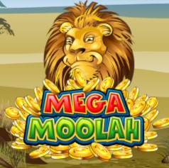 Mega Moolah progressive jackpot