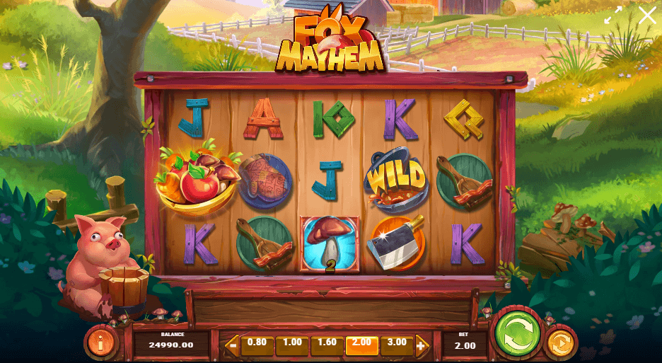 Fox Mayhem Slot Game
