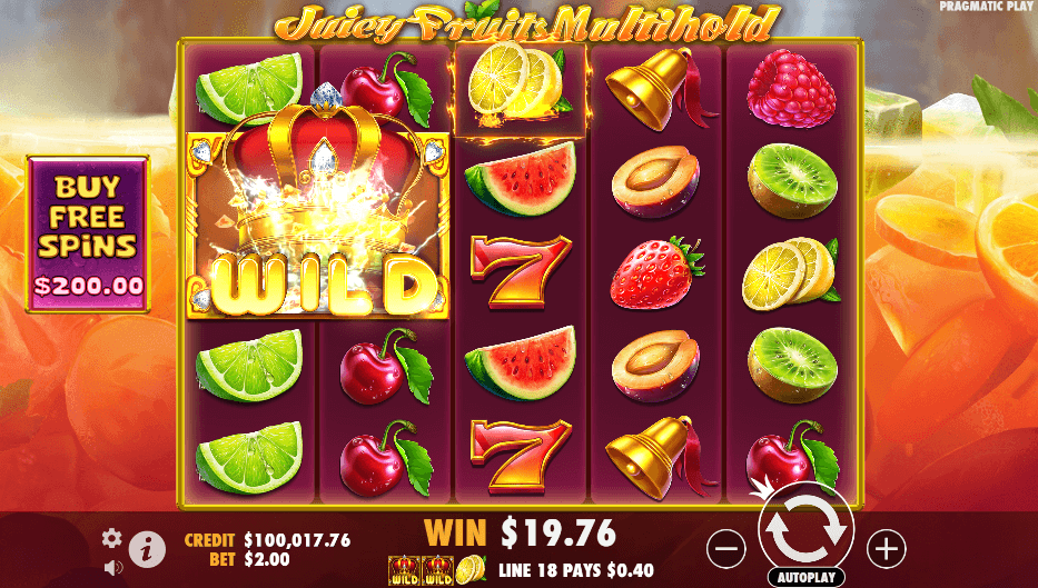 Juicy Fruits Multihold Slot Game