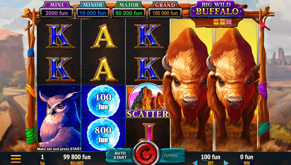 Big Wild Buffalo