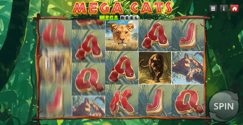 Mega Cats Slot Game