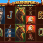 Grand Buffalo Hold and Win